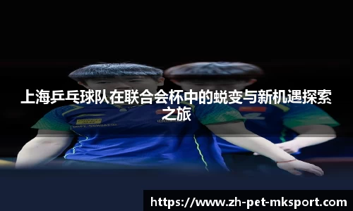 上海乒乓球队在联合会杯中的蜕变与新机遇探索之旅