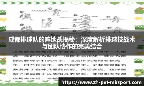 成都排球队的阵地战揭秘：深度解析排球技战术与团队协作的完美结合