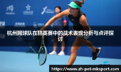 杭州网球队在精英赛中的战术表现分析与点评探讨